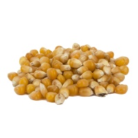 Popcorn - kukurydza 5 kg