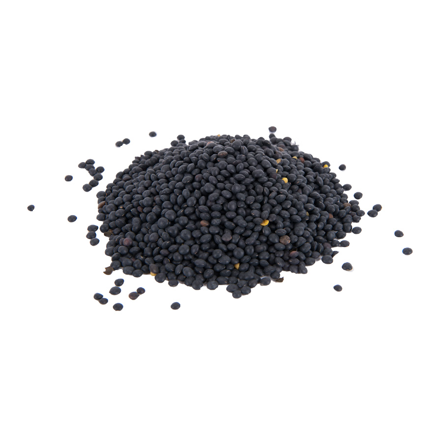 soczewica_czarna_luz Soczewica czarna 5 kg - obrazek 1